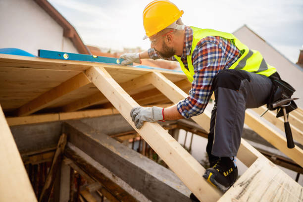 Professional Roofing Contractor in Louisville, NE